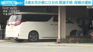 事故を起こした車種アルファード