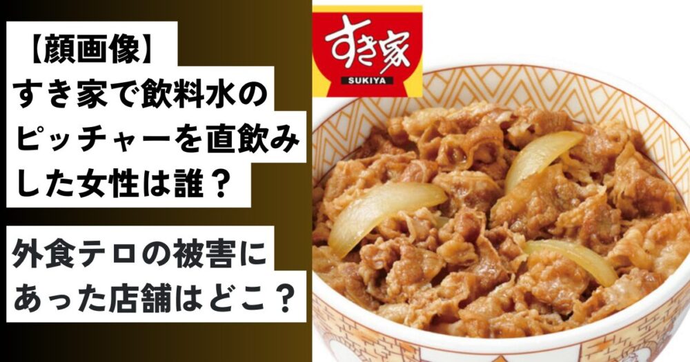 すき家の牛丼の画像