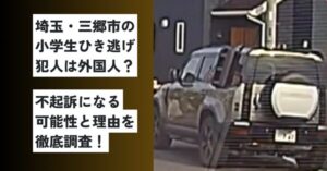 埼玉県三郷市ひき逃げ事件